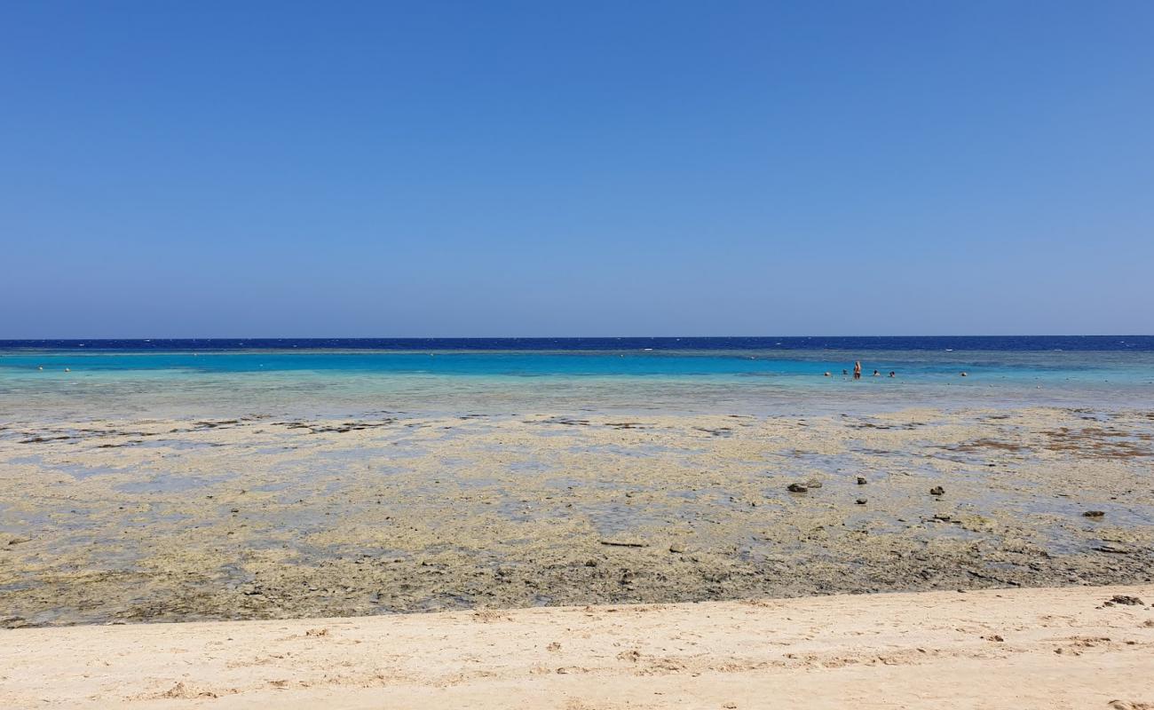 Photo de Gorgonia Beach avec béton de surface