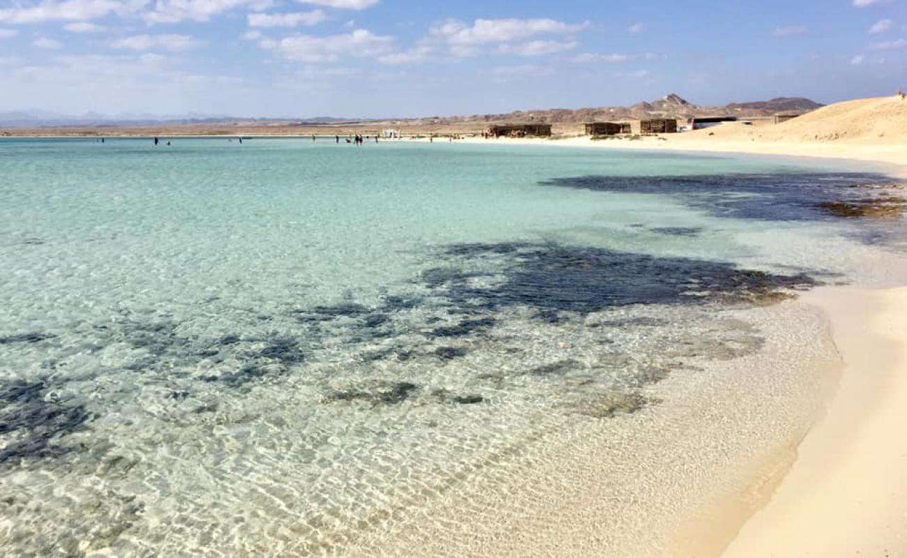 Photo de Ras Hankorab beach avec sable lumineux de surface