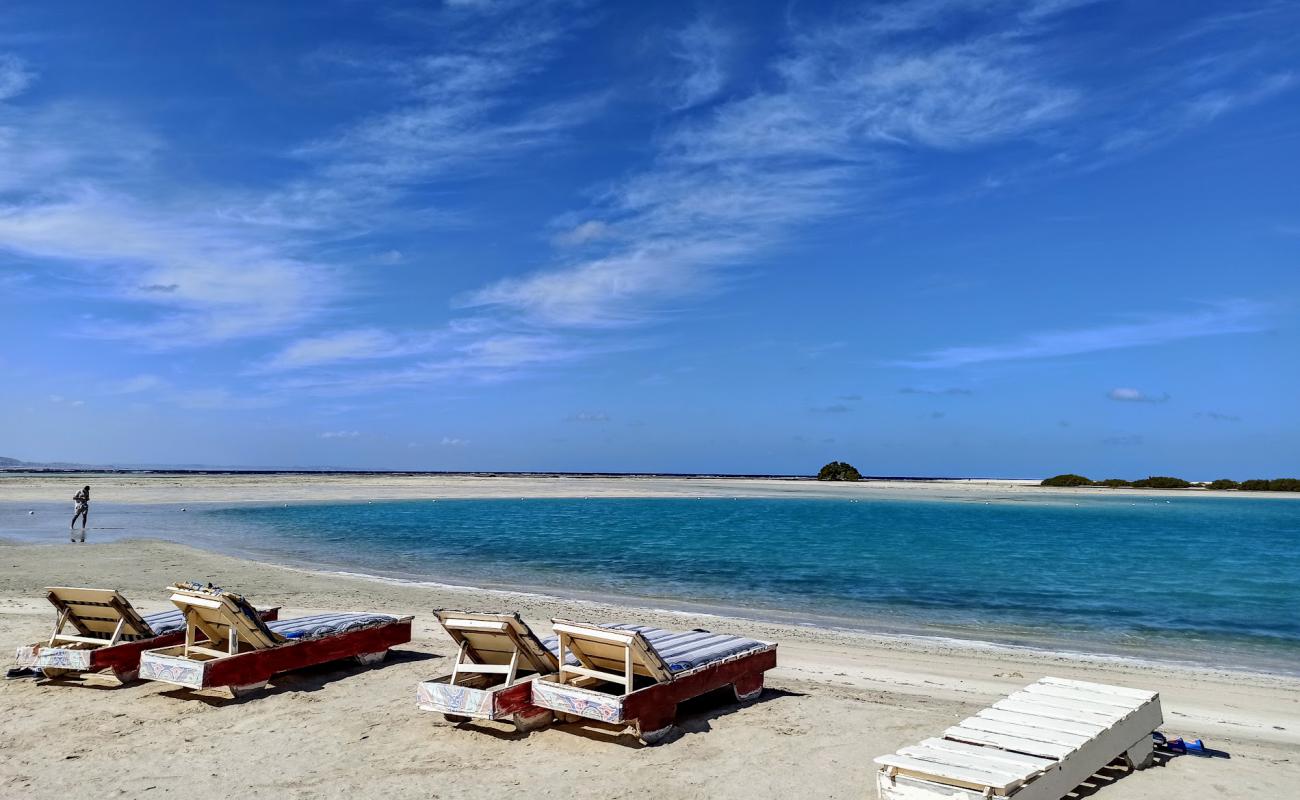 Photo de Qulaan Mangrove Beach avec sable lumineux de surface