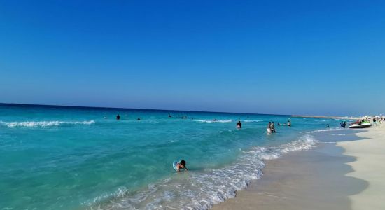 White Emerald Beach