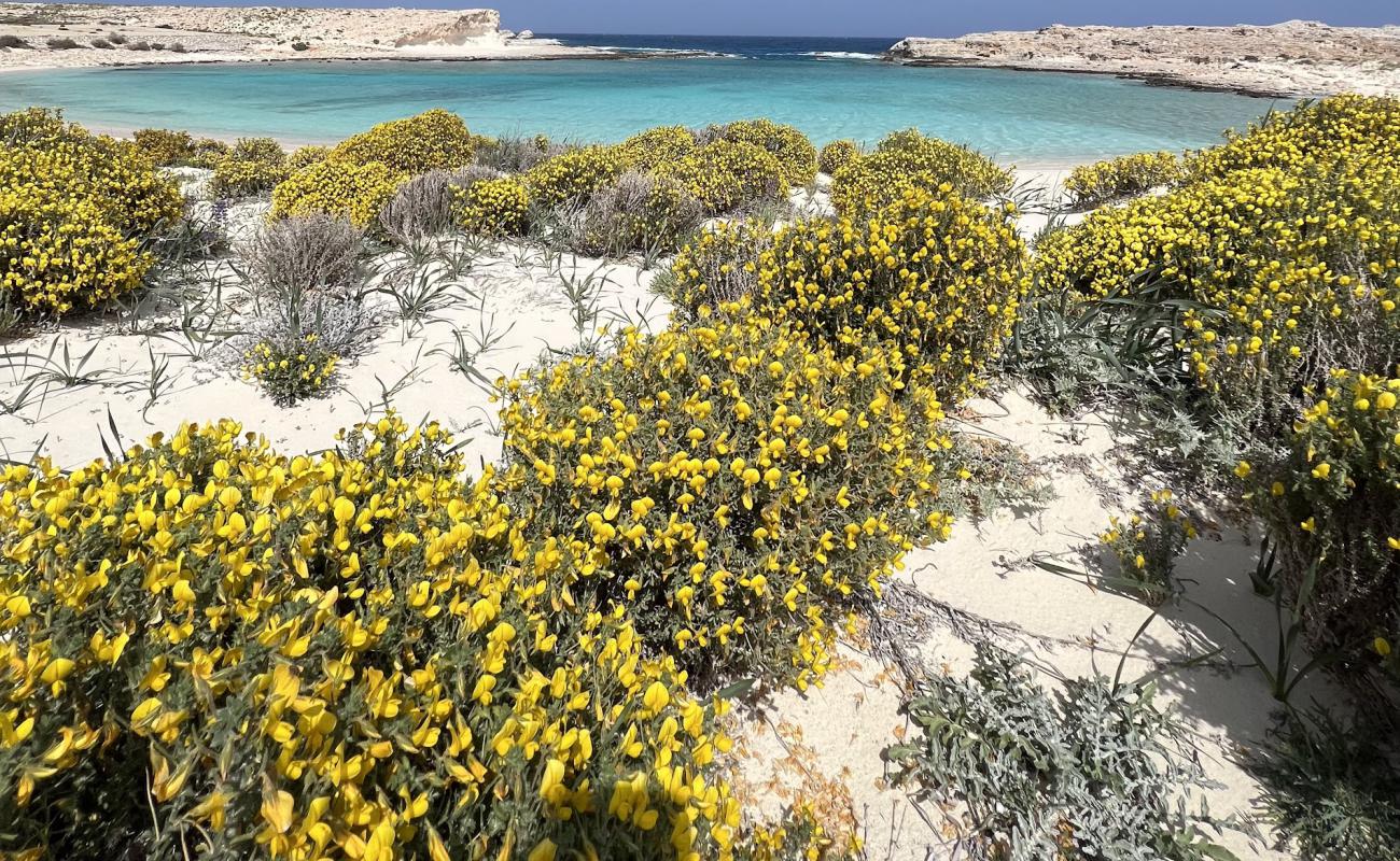 Photo de Ras El Hikma Beach avec sable lumineux de surface