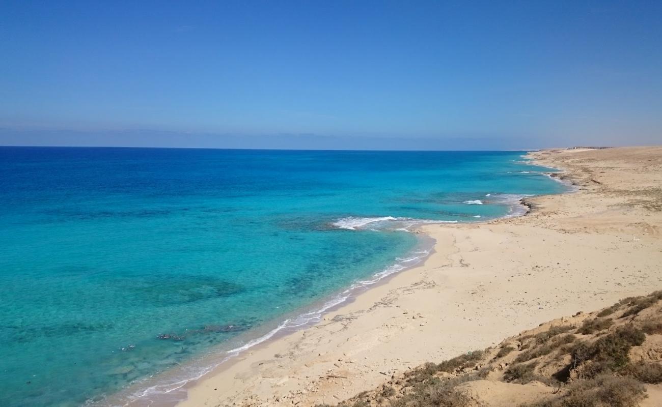 Photo de Shore Beach avec sable beige de surface