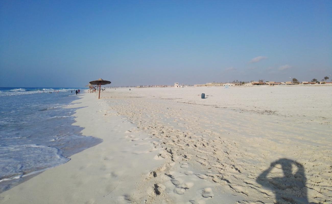 Photo de Marseille Beach avec sable fin blanc de surface