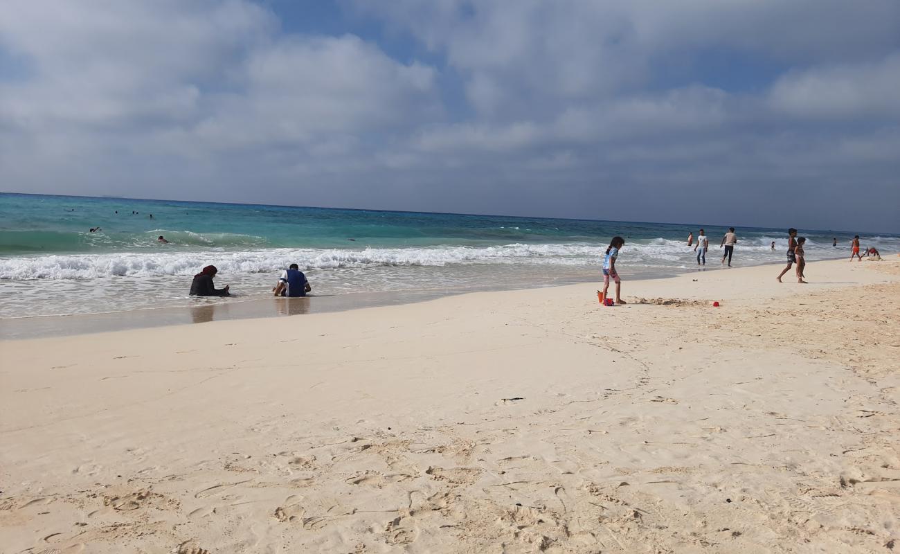 Photo de Sidi Krier Beach avec sable fin blanc de surface