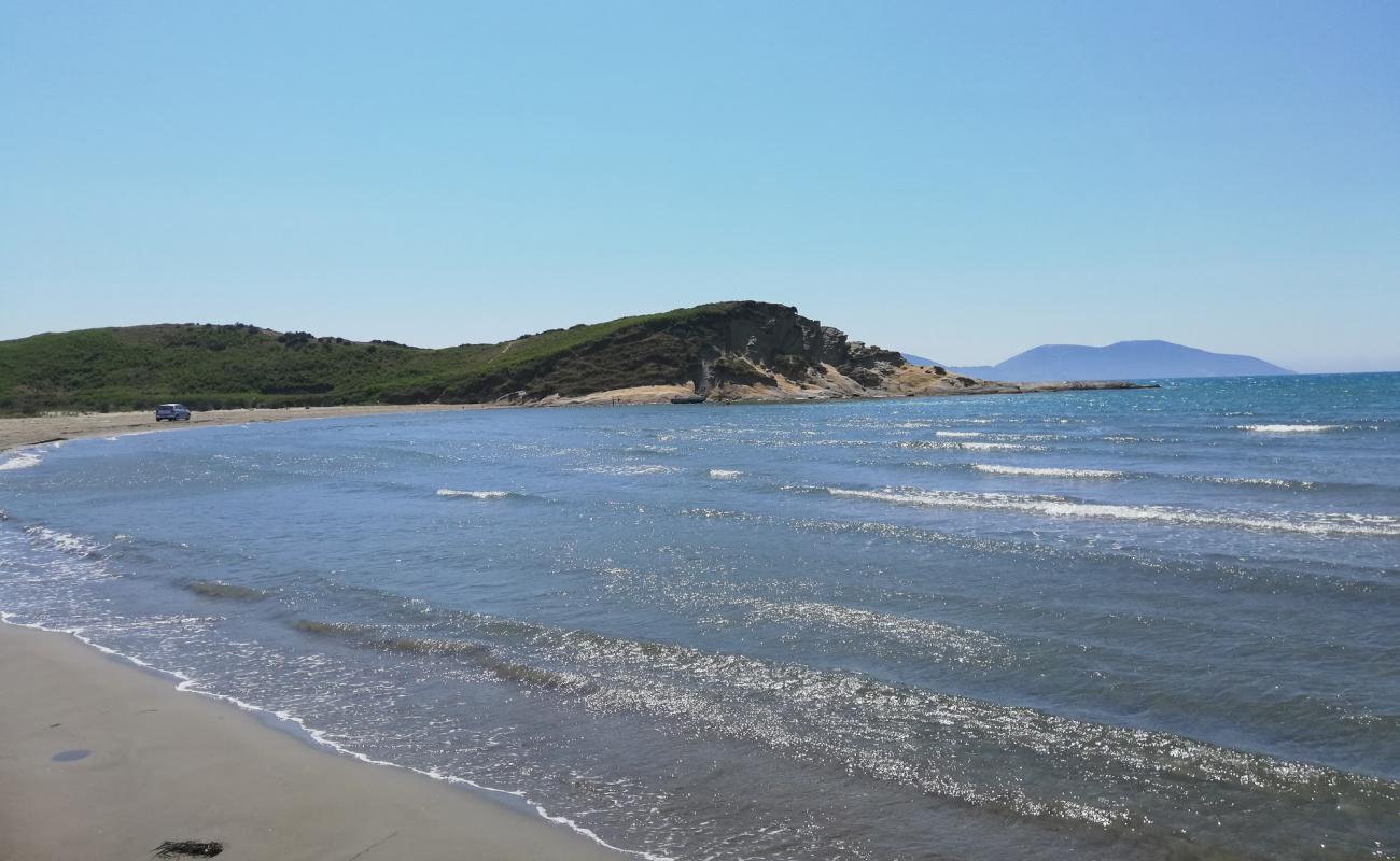 Photo de Zvernec Beach avec sable brun de surface