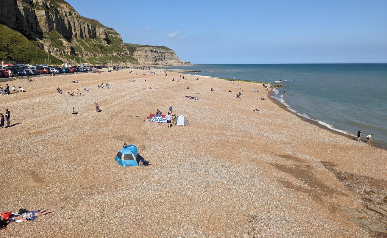 Photo de Plage de Hastings avec caillou fin clair de surface