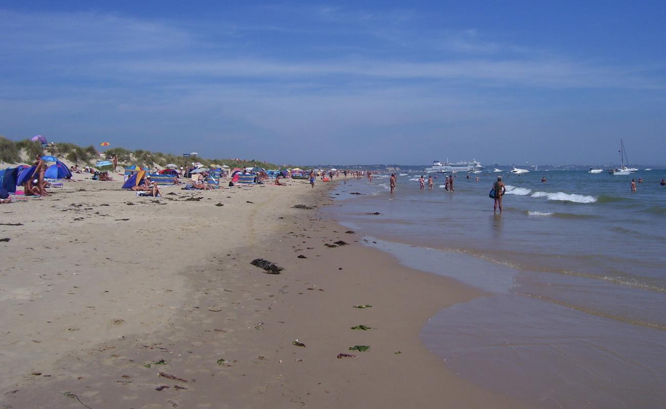 Photo de Studland Naturist beach avec sable fin et lumineux de surface