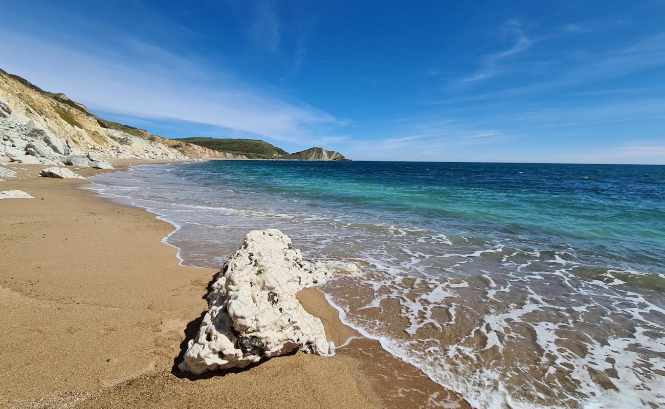 Photo de Worbarrow beach avec caillou fin clair de surface