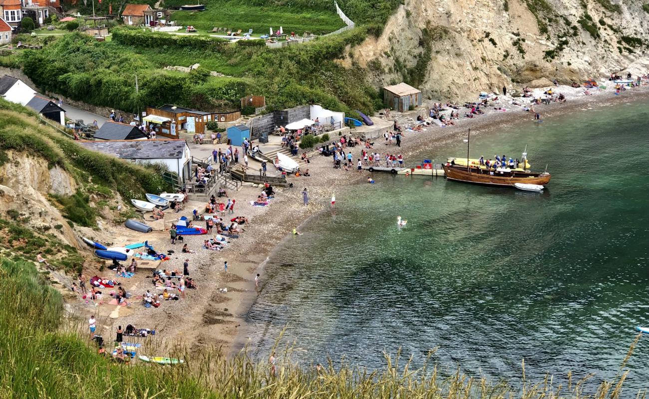 Photo de Lulworth Cove avec roches de surface