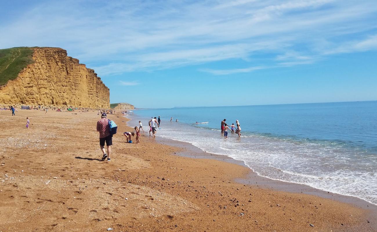 Photo de Bridport beach Front avec caillou fin clair de surface