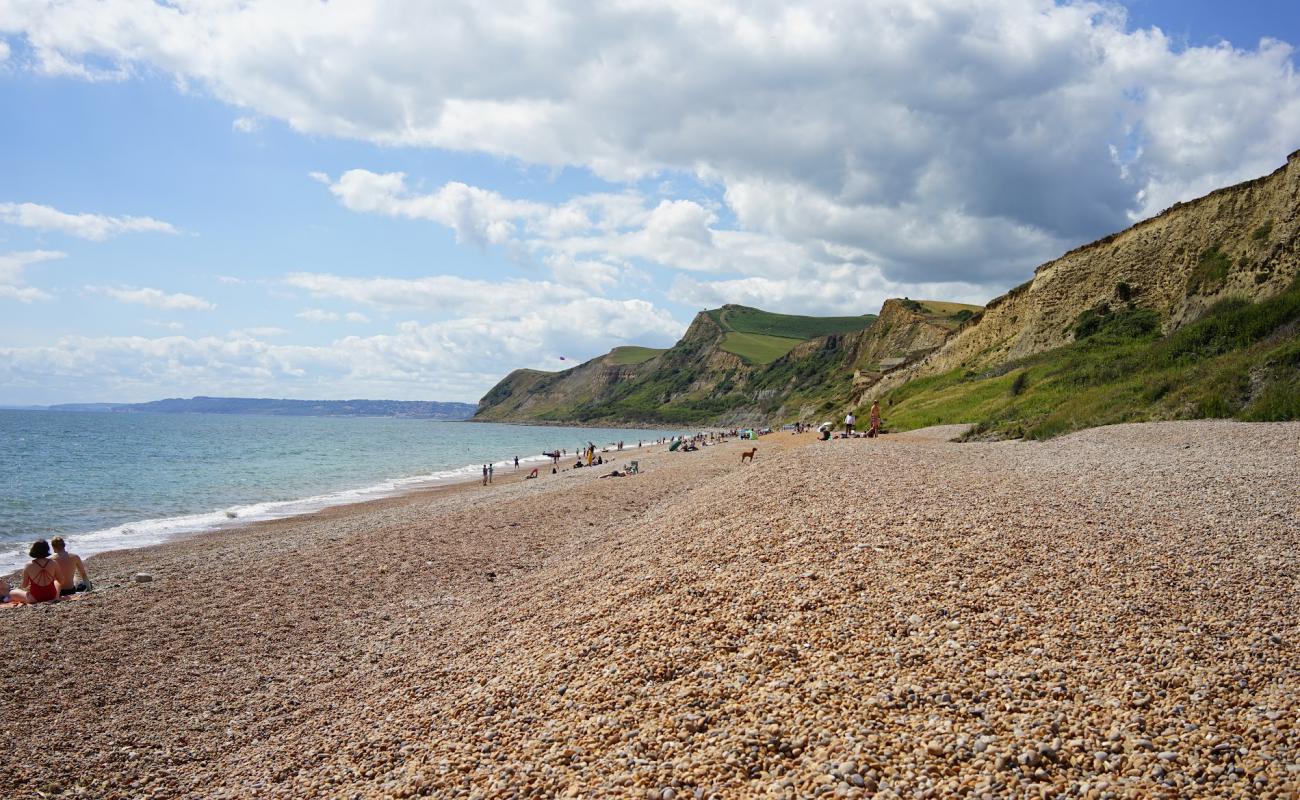 Photo de Plage d'Eype avec caillou brun de surface