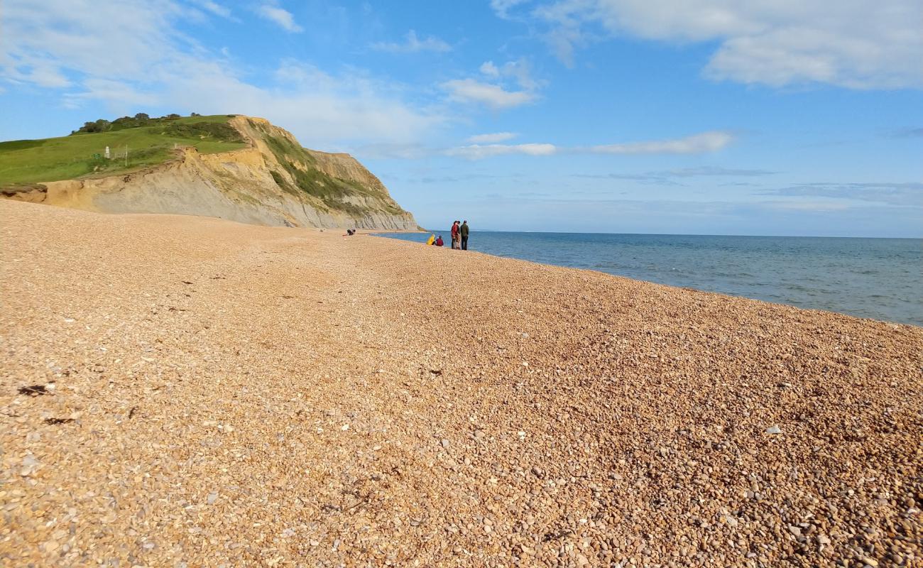 Photo de Plage de Seatown avec galets bruns de surface