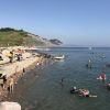 Plage de Charmouth