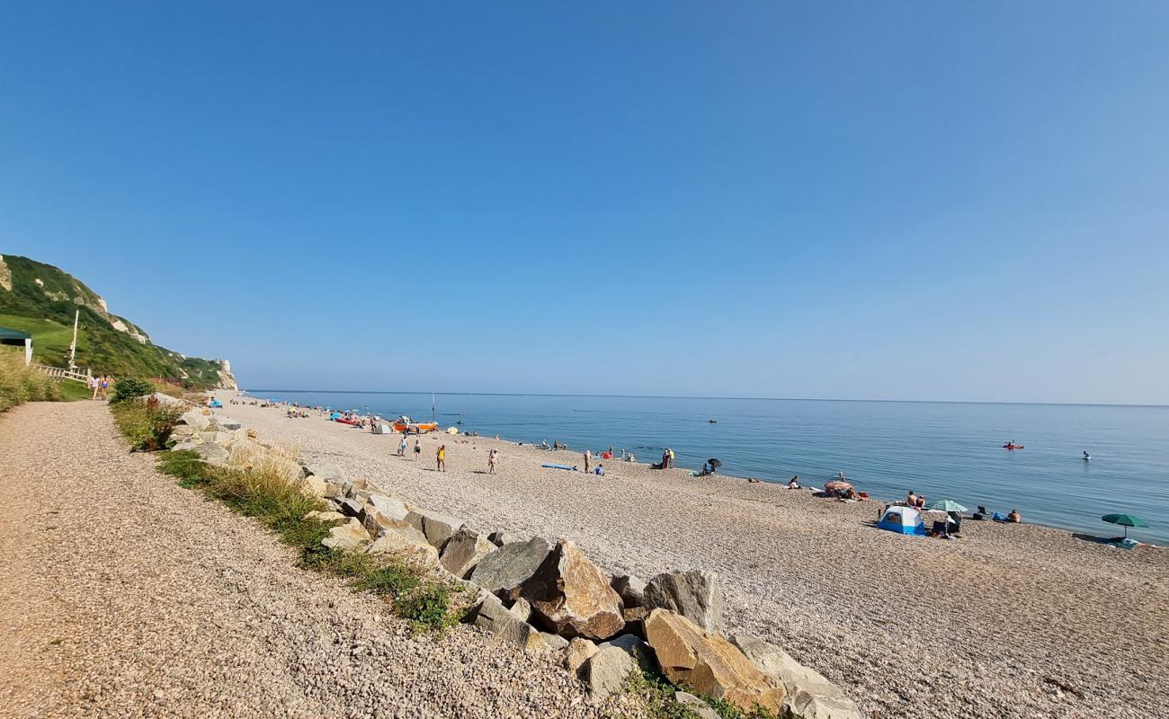 Photo de Plage de Branscombe avec caillou fin gris de surface