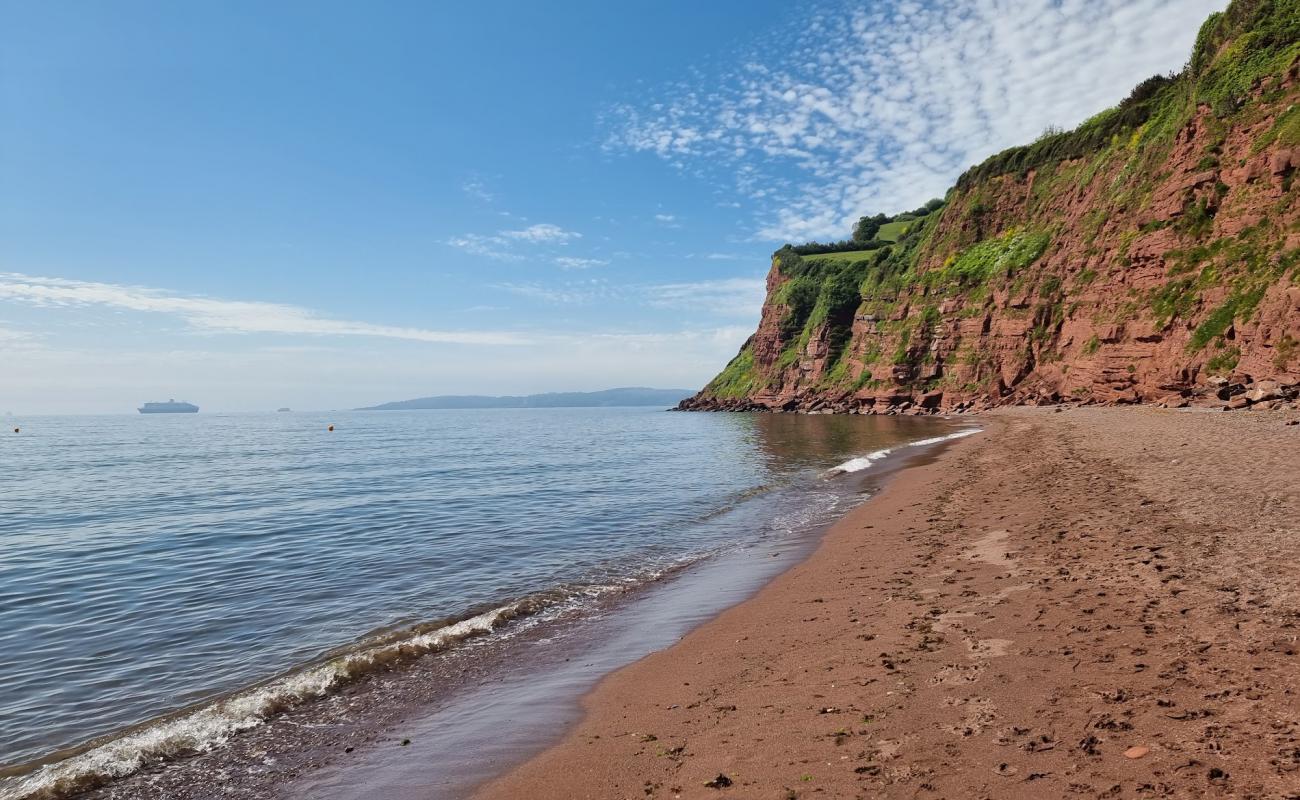 Photo de Ness Cove beach avec sable brun de surface