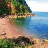 Plage de Maidencombe