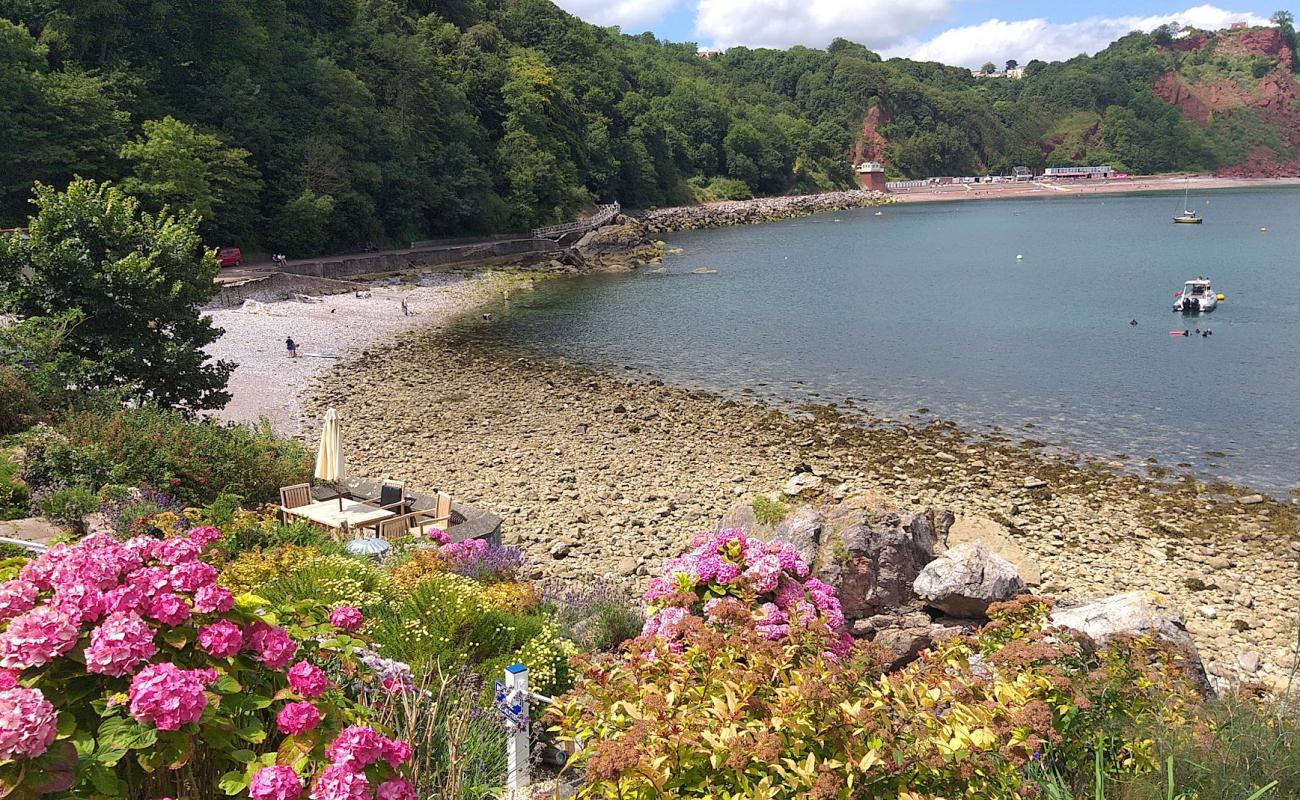 Photo de Plage de Babbacombe avec terrain rocheux de surface