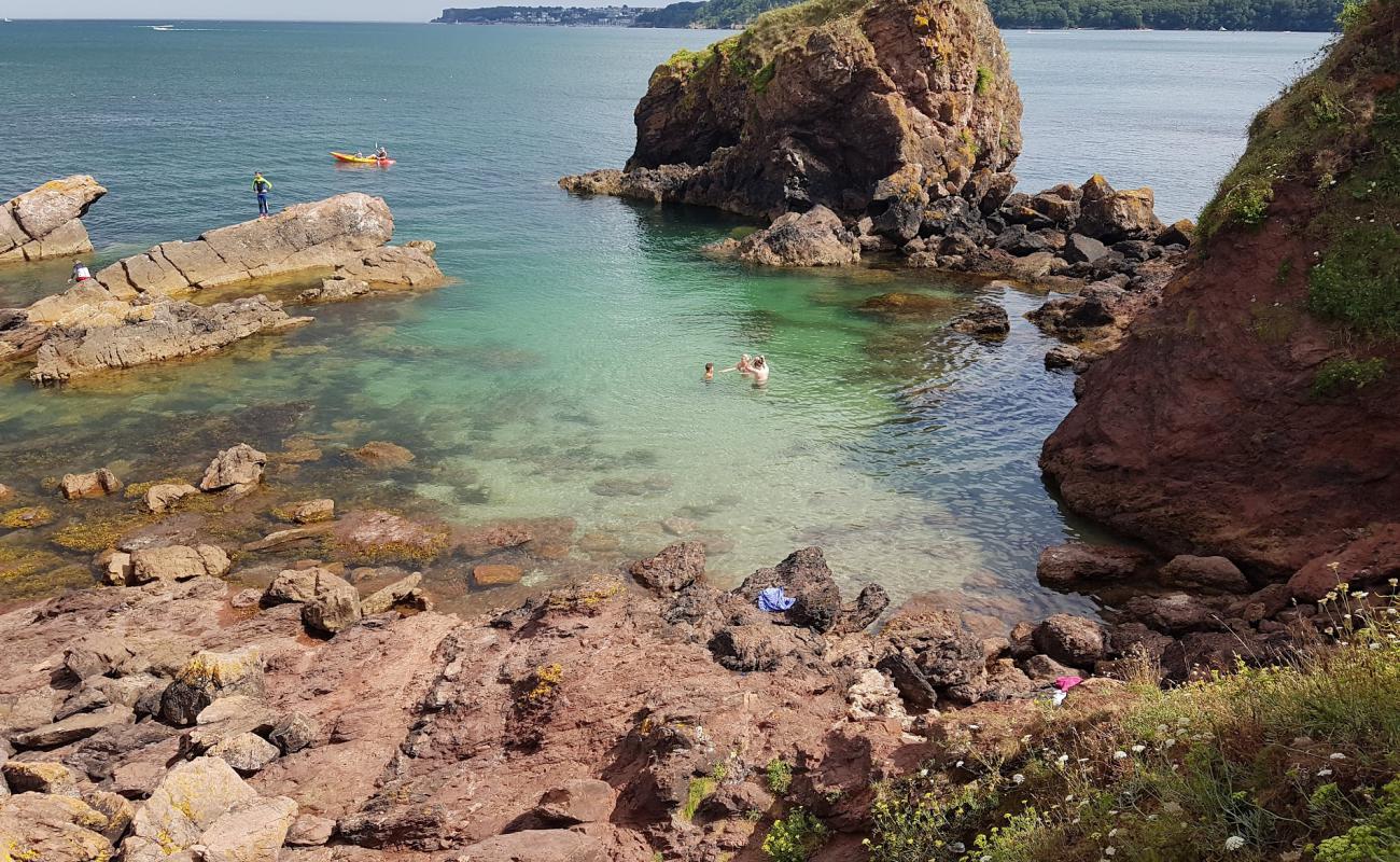 Photo de Saltern Cove avec sable brillant et rochers de surface