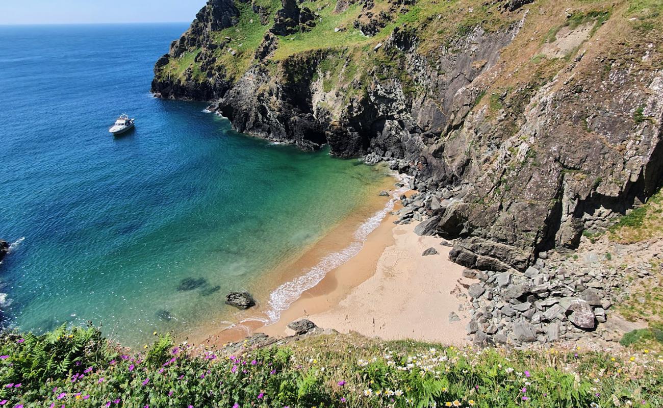 Photo de Maceley Cove avec sable lumineux de surface