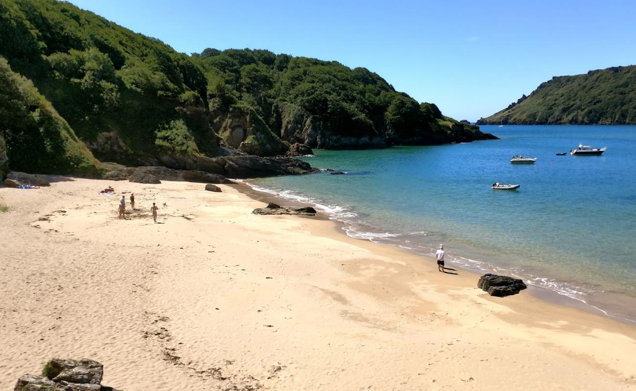 Photo de Plage de Sunny Cove avec sable fin et lumineux de surface