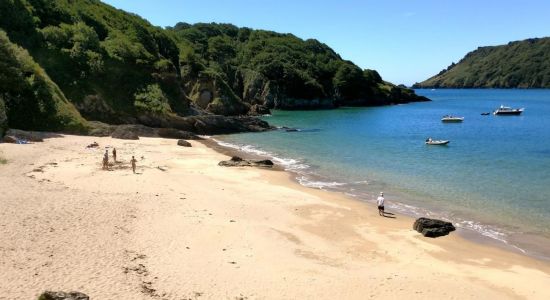 Plage de Sunny Cove