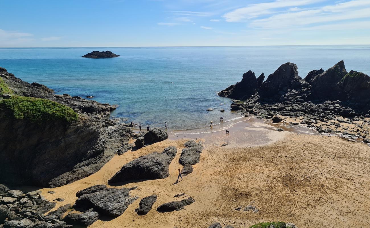 Photo de Soar Mill Cove avec sable beige & galets de surface