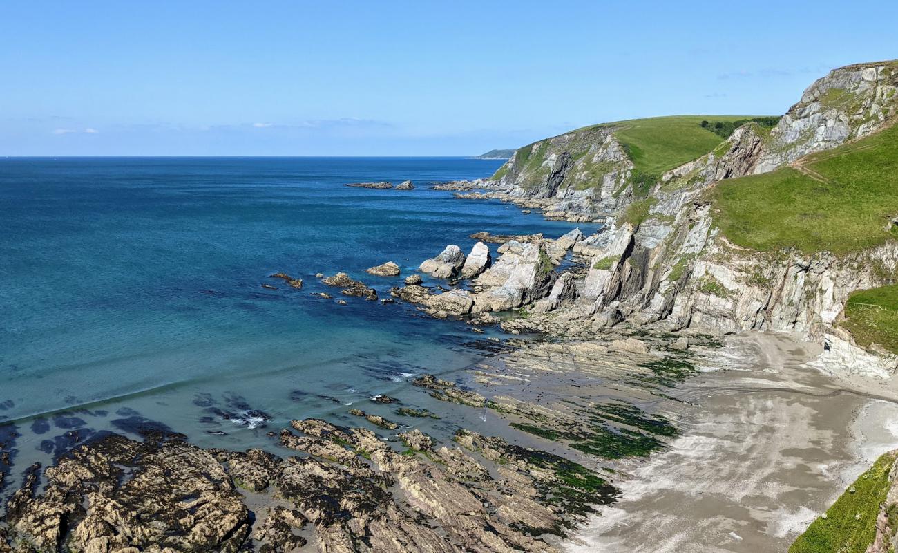 Photo de Wyscombe beach avec galets beige de surface