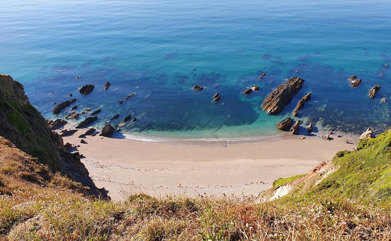 Photo de Britian Cove avec sable gris de surface