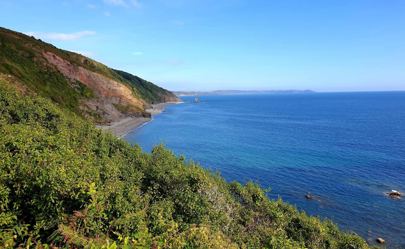Photo de Shag Rock beach avec sable beige de surface