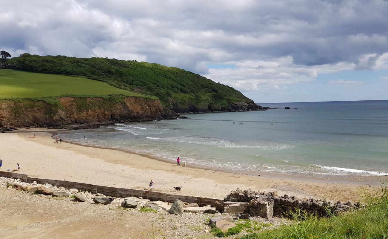 Photo de Plage de Caerhays (Baie de Porthluney) avec sable lumineux de surface