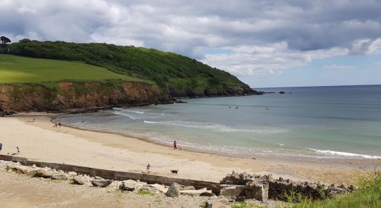 Plage de Caerhays (Baie de Porthluney)