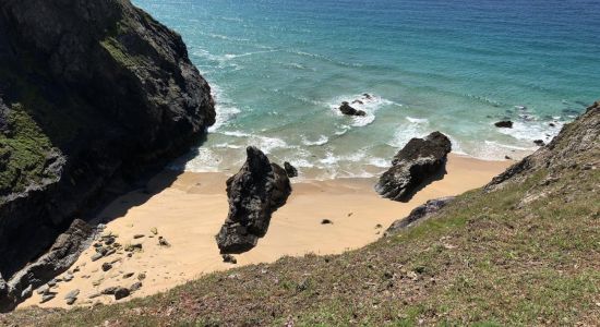 Butterhole beach