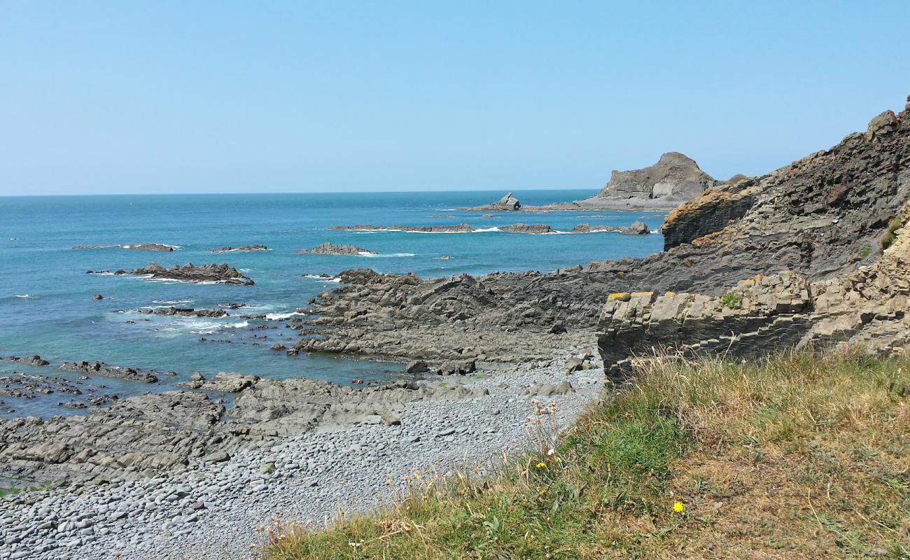 Photo de Abbey River beach avec roches de surface