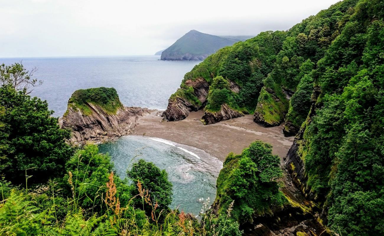 Photo de Broadsands beach avec sable gris & galets de surface