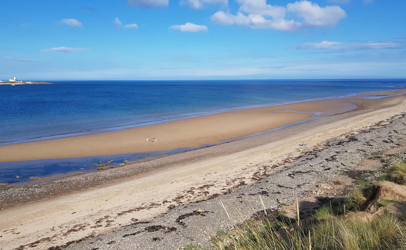 Photo de Low Hauxley beach avec sable lumineux de surface