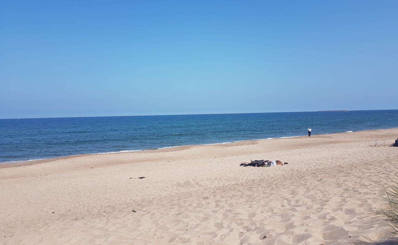 Photo de Plage de Warkworth avec sable lumineux de surface