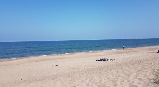 Plage de Warkworth