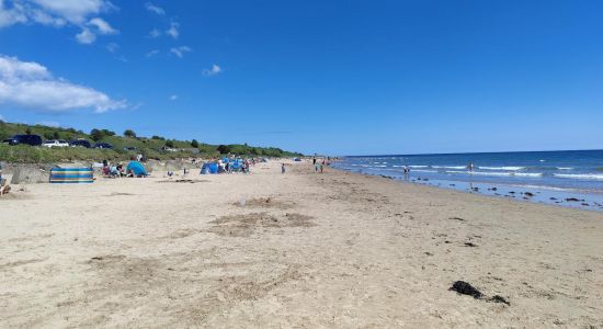 Plage d'Alnmouth