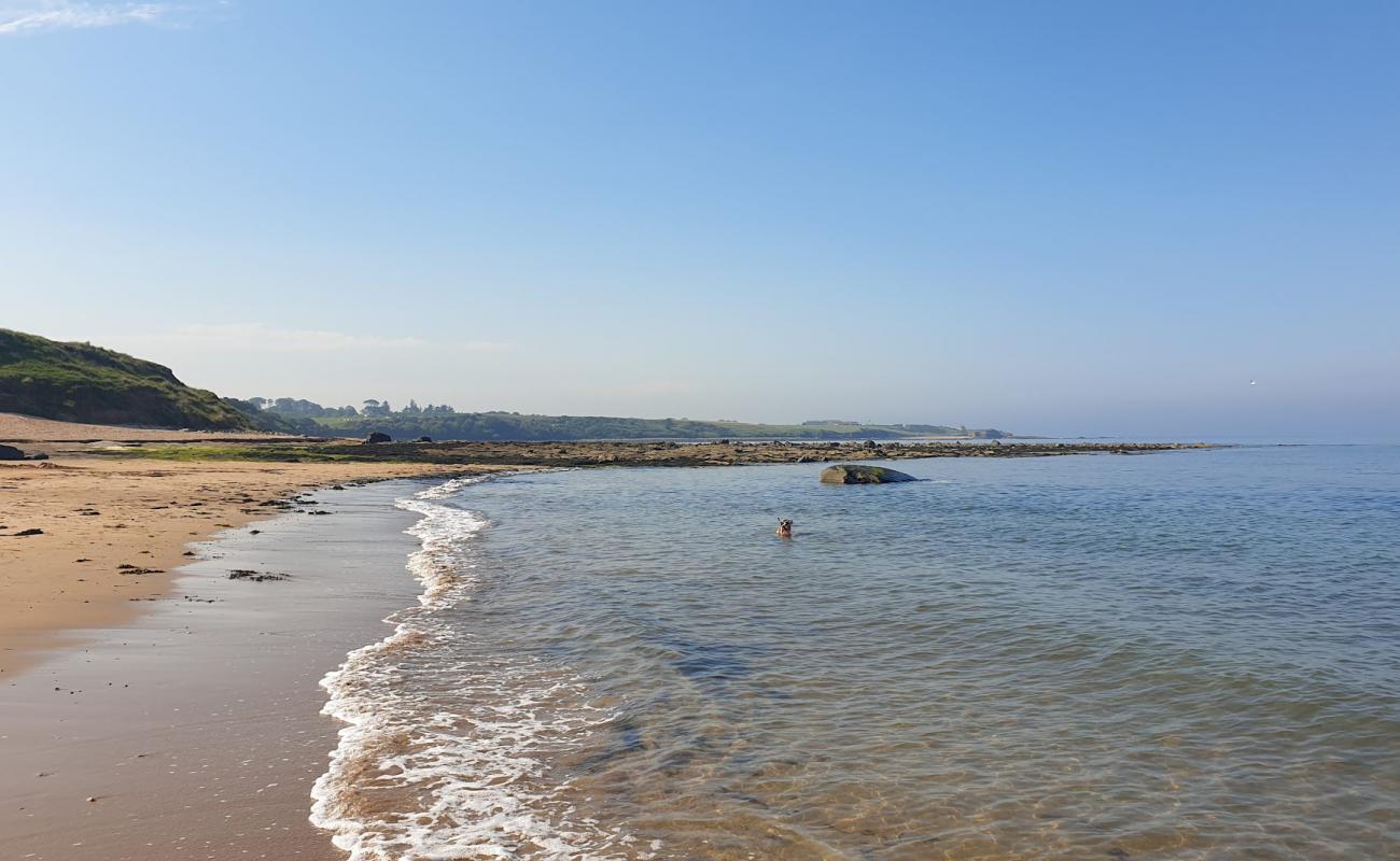 Photo de Plage de Longhoughton avec sable beige de surface