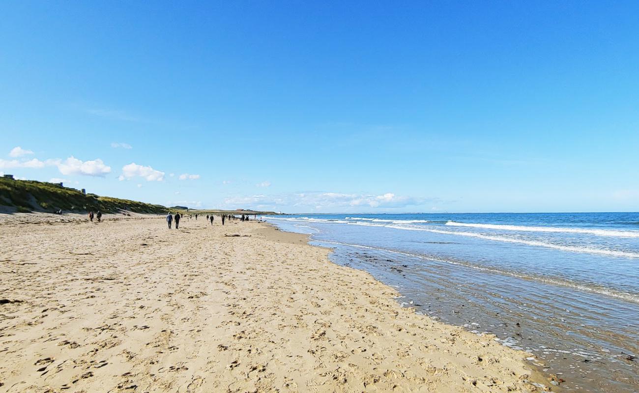 Photo de North Sunderland beach avec sable beige de surface