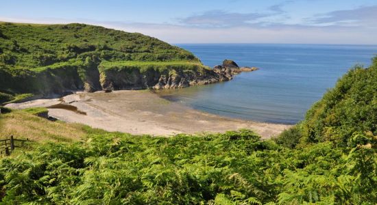 Aberfforest beach