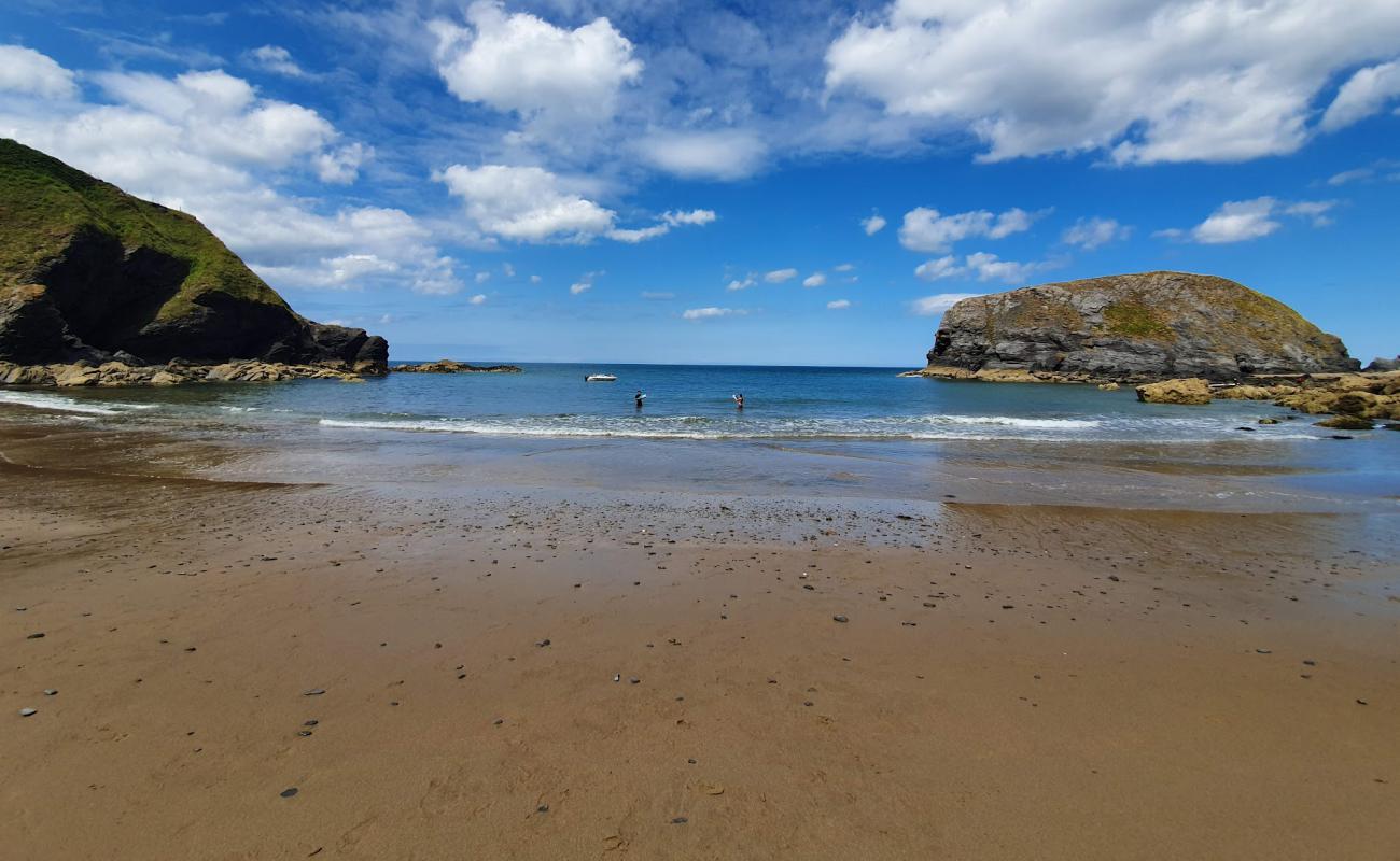 Photo de Plage de Llangrannog avec sable lumineux de surface