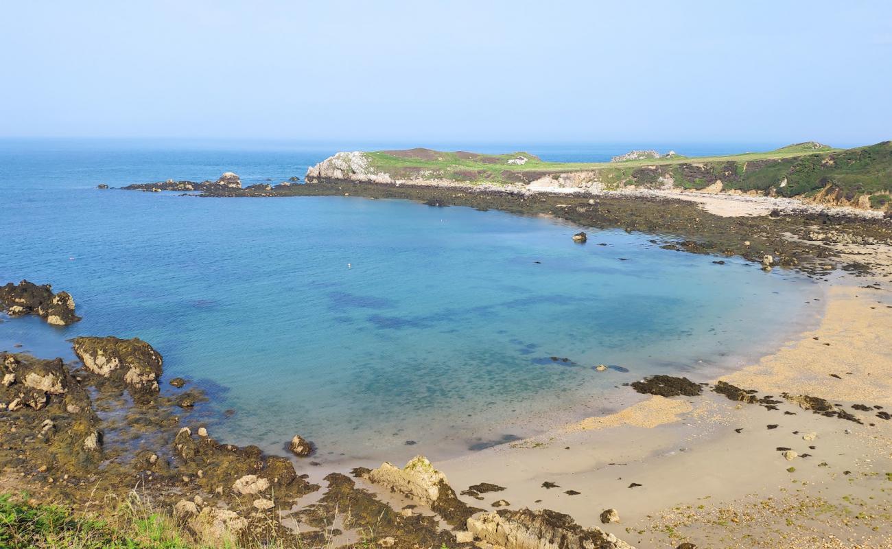 Photo de Porth Padrig avec sable beige & pierres de surface