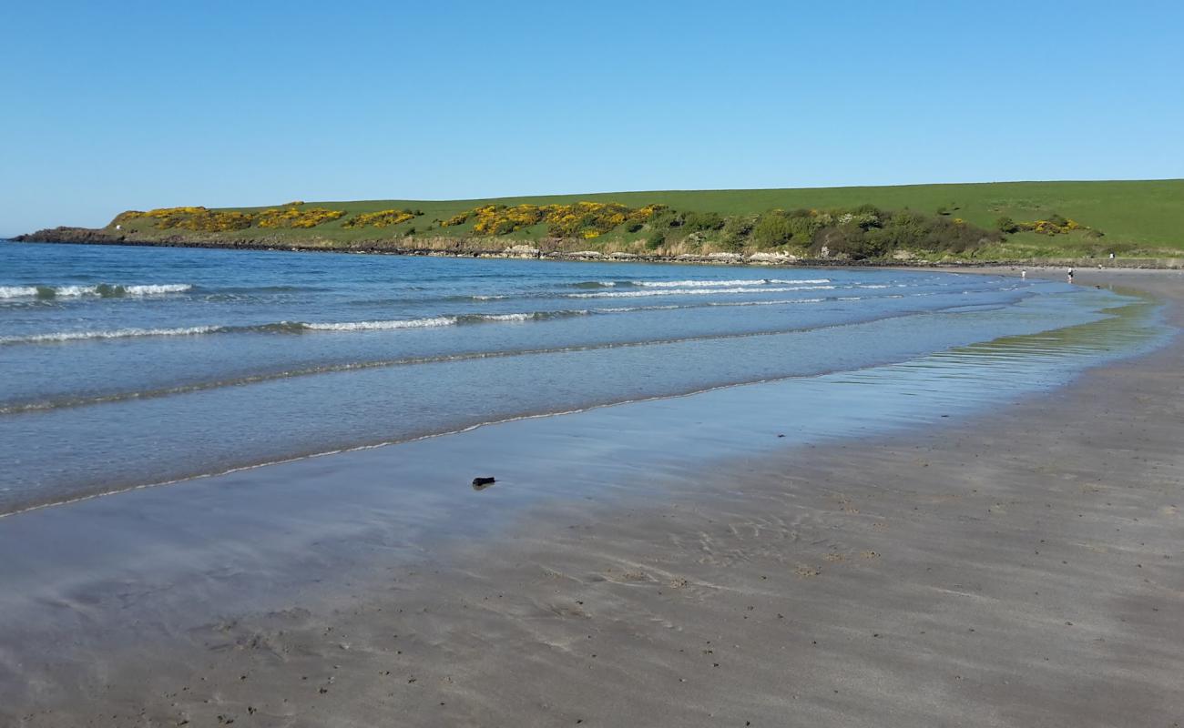 Photo de Browns Bay Beach avec sable brun de surface