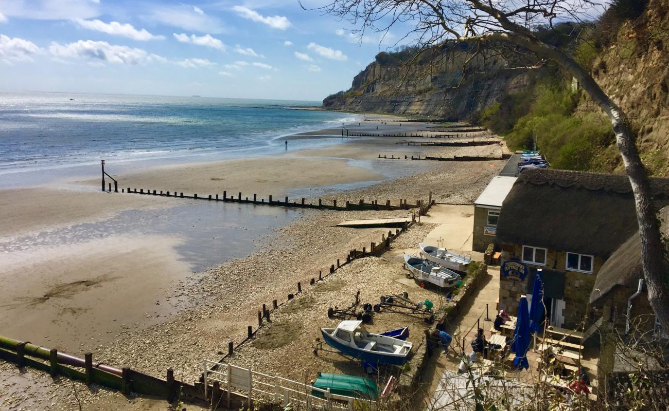 Photo de Shanklin Beach,Luccombe End avec caillou clair de surface