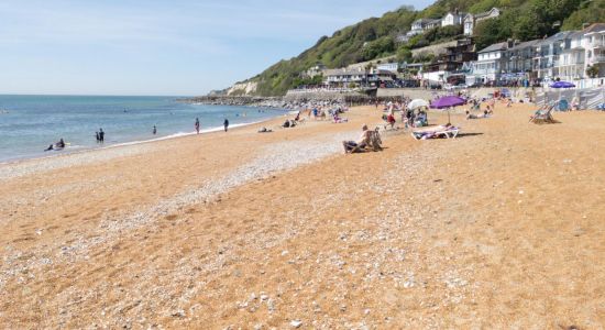 Plage de Ventnor