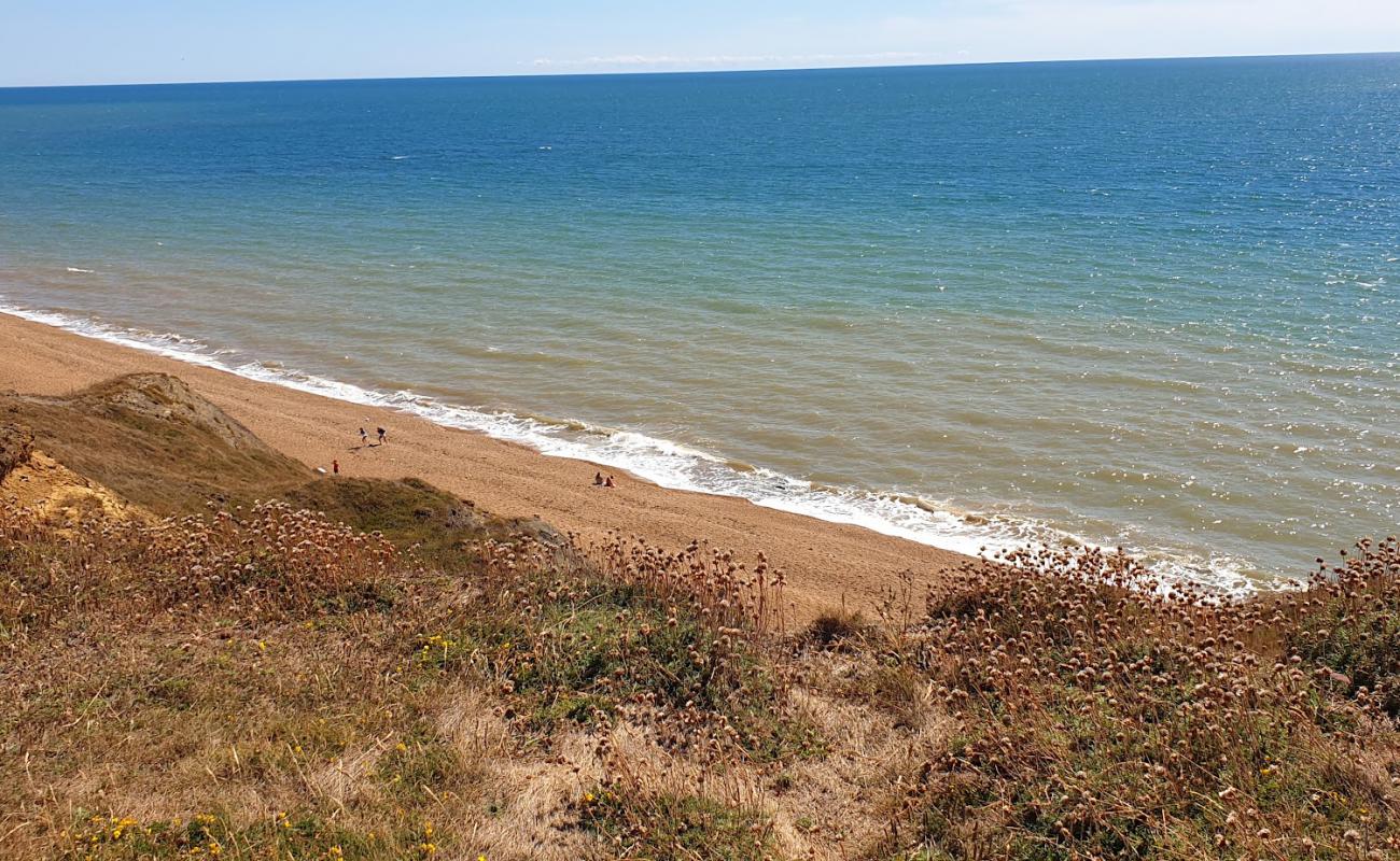 Photo de Shepherds Chine avec sable beige de surface