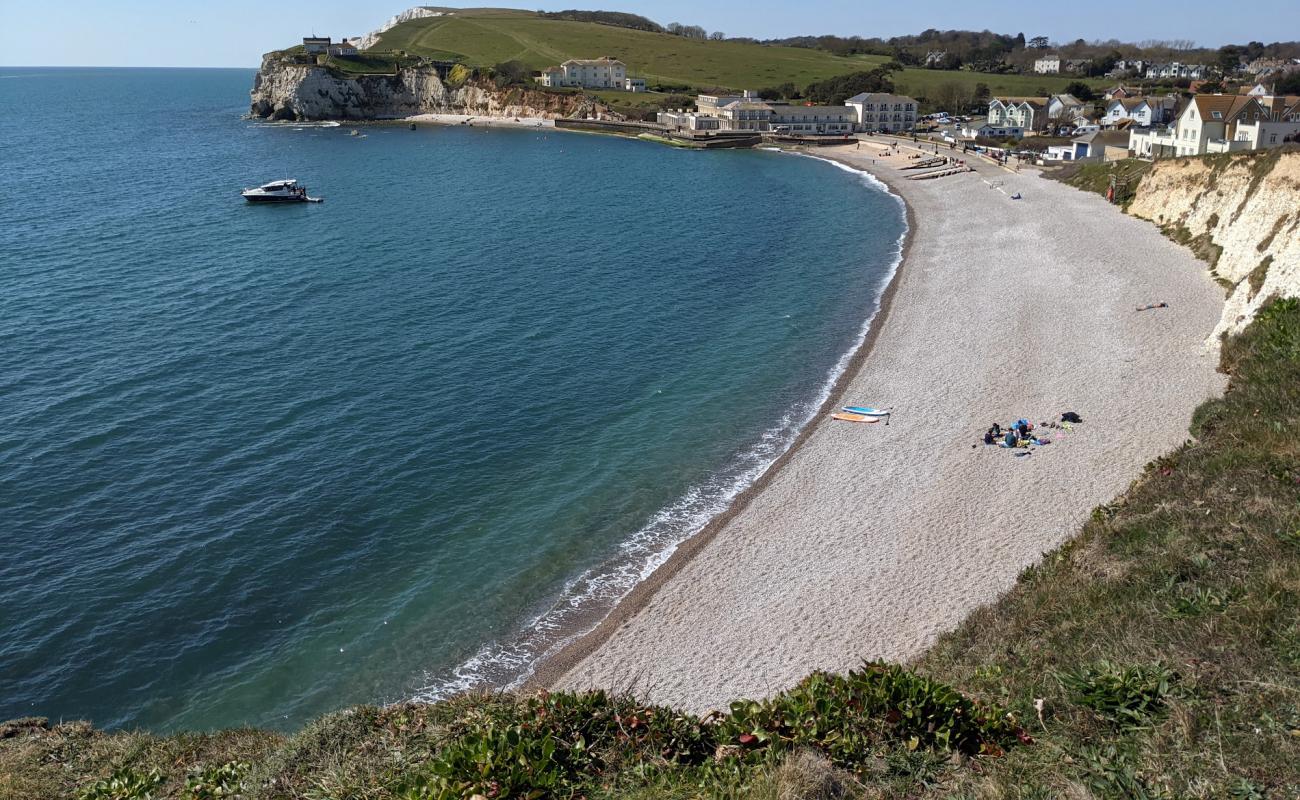 Photo de Freshwater Bay avec galets gris de surface