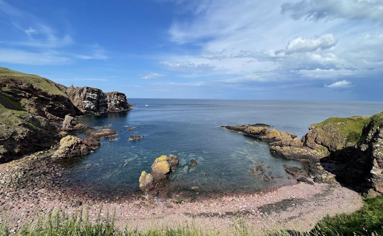 Photo de Starney Bay avec terrain rocheux de surface