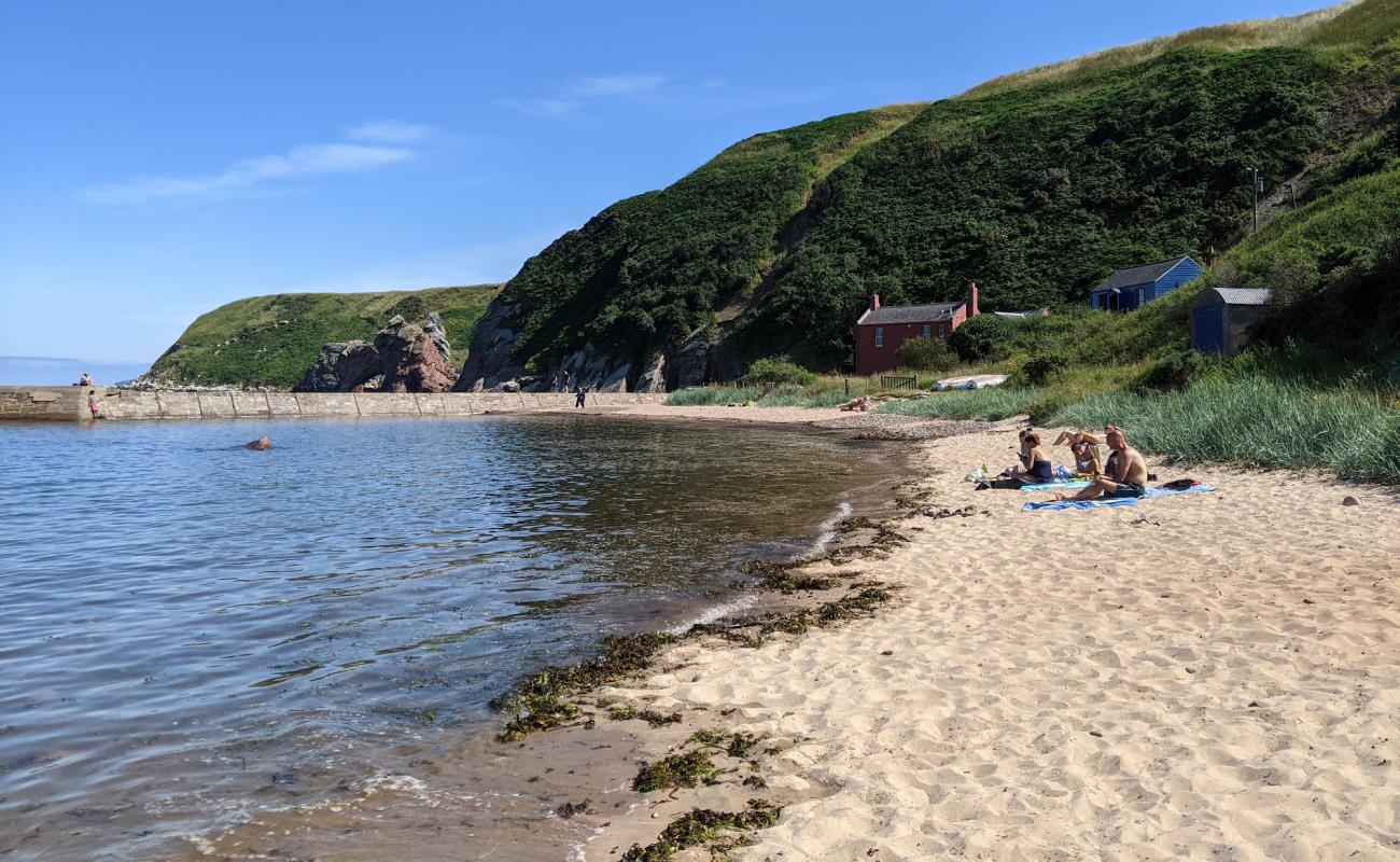 Photo de Cove Harbour avec sable beige de surface
